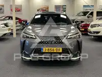 2020 Lexus UX250