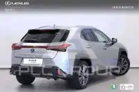 2020 Lexus UX250