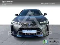 2020 Lexus UX250