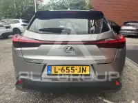 2020 Lexus UX250