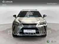 2020 Lexus UX250