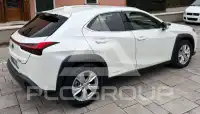 2020 Lexus UX250