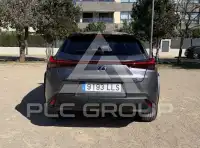 2020 Lexus UX250