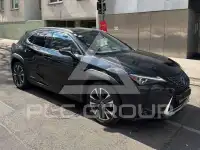 2020 Lexus UX250