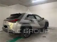 2020 Lexus UX250