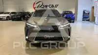 2020 Lexus UX250