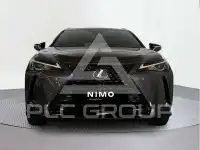 2020 Lexus UX250