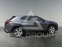 2020 Lexus UX250