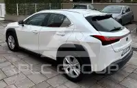 2020 Lexus UX250