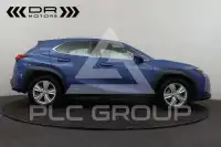 2020 Lexus UX250