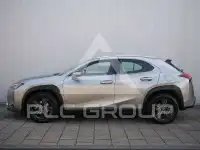 2020 Lexus UX250