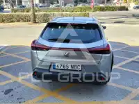 2020 Lexus UX250