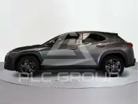 2020 Lexus UX250