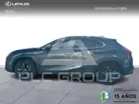 2020 Lexus UX250