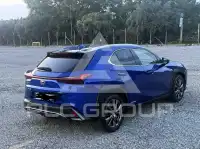 2020 Lexus UX250