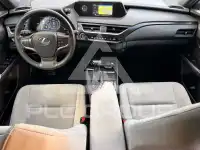 2020 Lexus UX250