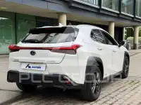 2020 Lexus UX250