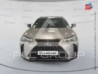 2020 Lexus UX250