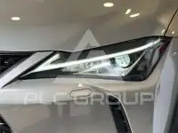 2020 Lexus UX250