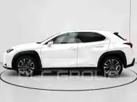 2020 Lexus UX250