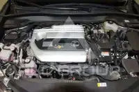 2020 Lexus UX250