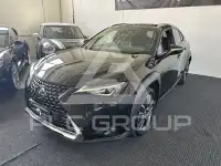 2020 Lexus UX250