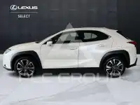 2020 Lexus UX250