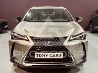 2020 Lexus UX250