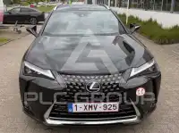 2020 Lexus UX250