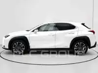 2020 Lexus UX250