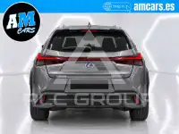 2020 Lexus UX250