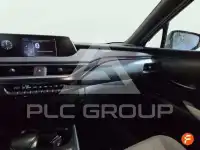 2020 Lexus UX250