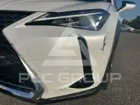 2020 Lexus UX250