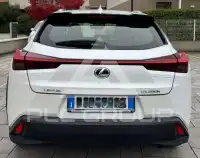 2020 Lexus UX250