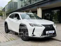 2020 Lexus UX250