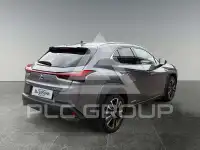 2020 Lexus UX250