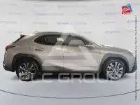2020 Lexus UX250