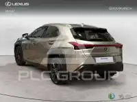 2020 Lexus UX250