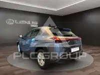 2020 Lexus UX250