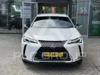 2020 Lexus UX250