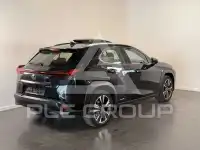 2020 Lexus UX250