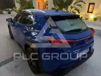 2020 Lexus UX250