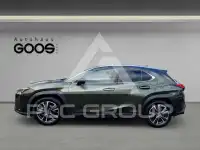 2020 Lexus UX250