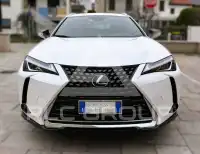 2020 Lexus UX250