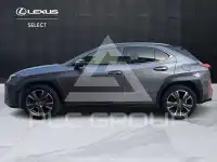 2020 Lexus UX250