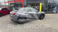 2020 Lexus UX250