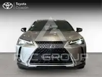 2020 Lexus UX250