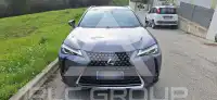2020 Lexus UX250