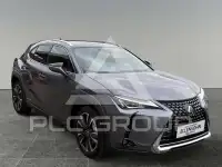 2020 Lexus UX250