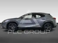 2020 Lexus UX250